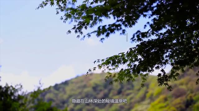 海军蓝