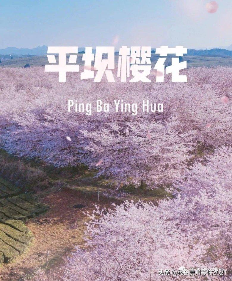 梦幻糖果森林逃生