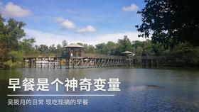 尘埃赛车