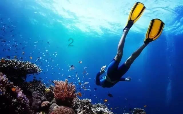 焦虑的库迪咖啡：价格战后疑又要求加盟商卖酒、定量采购 管理跟不上扩张食品安全和物料缺乏问题频发