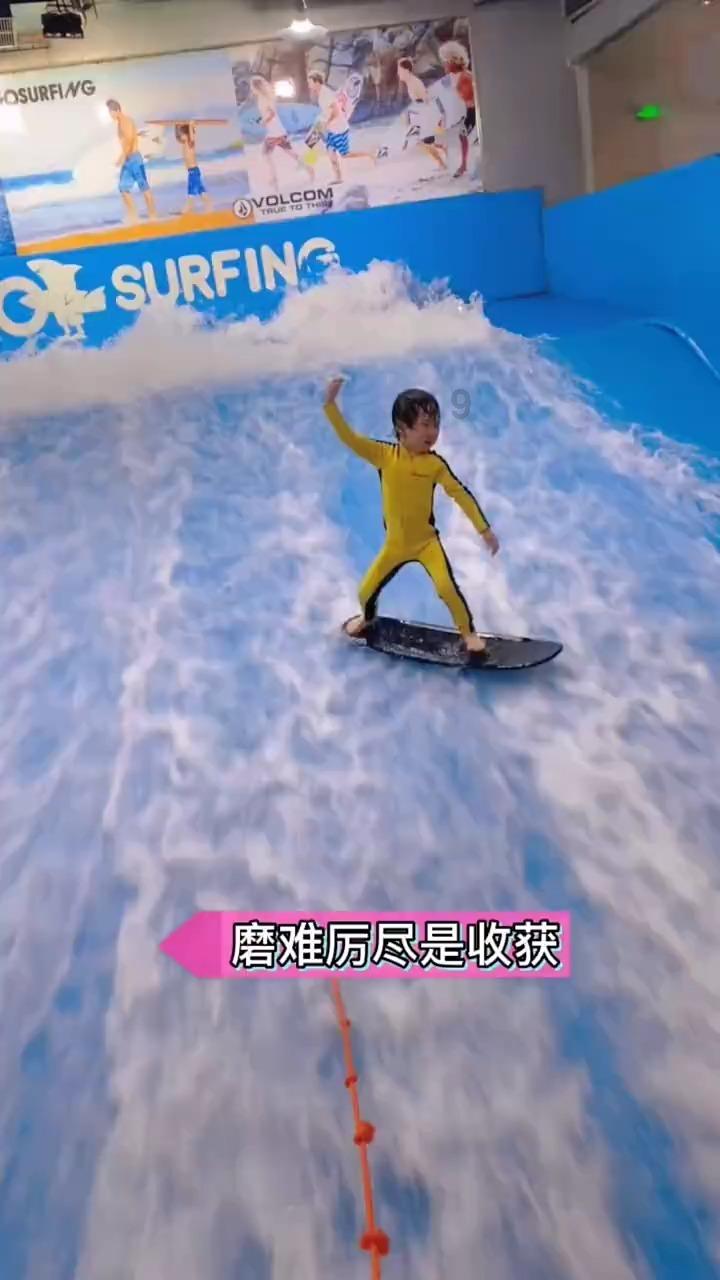植物大战僵尸17